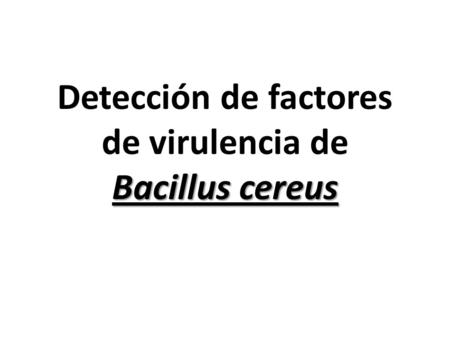 Detección de factores de virulencia de Bacillus cereus