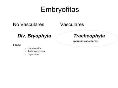 Embryofitas No Vasculares Vasculares