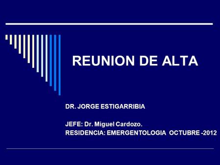 REUNION DE ALTA DR. JORGE ESTIGARRIBIA JEFE: Dr. Miguel Cardozo.