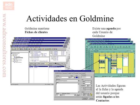 Actividades en Goldmine
