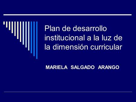 Plan de desarrollo institucional a la luz de la dimensión curricular