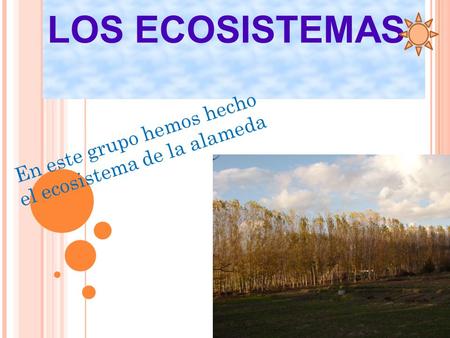 LOS ECOSISTEMAS En este grupo hemos hecho el ecosistema de la alameda.