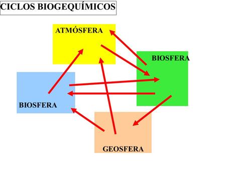 CICLOS BIOGEQUÍMICOS ATMÓSFERA BIOSFERA BIOSFERA GEOSFERA.