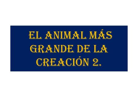 EL ANIMAL MÁS GRANDE DE LA CREACIÓN 2.