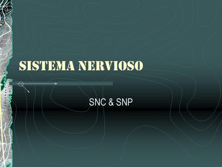 SISTEMA NERVIOSO SNC & SNP.