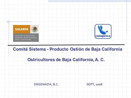 Comité Sistema - Producto Ostión de Baja California
