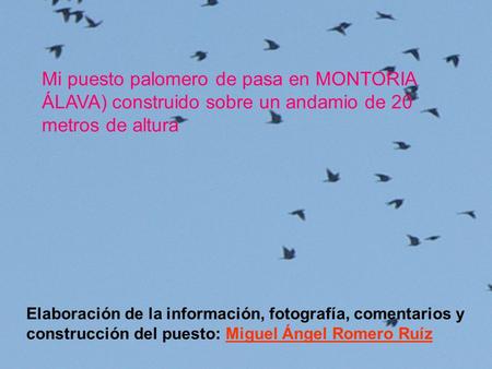 Mi puesto palomero de pasa en MONTORIA ÁLAVA) construido sobre un andamio de 20 metros de altura Elaboración de la información, fotografía, comentarios.