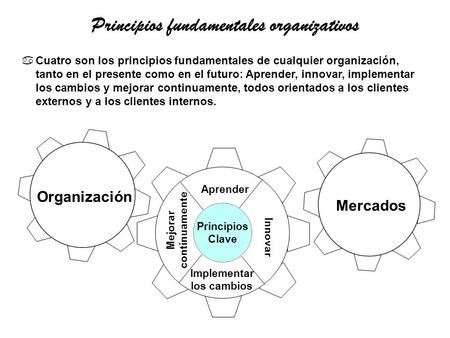 Principios fundamentales organizativos