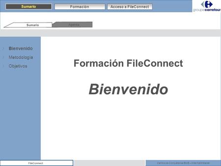 Formación FileConnect