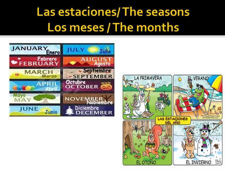 Las estaciones/ The seasons Los meses / The months