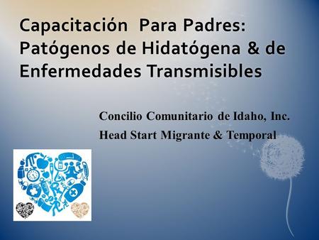 Concilio Comunitario de Idaho, Inc. Head Start Migrante & Temporal