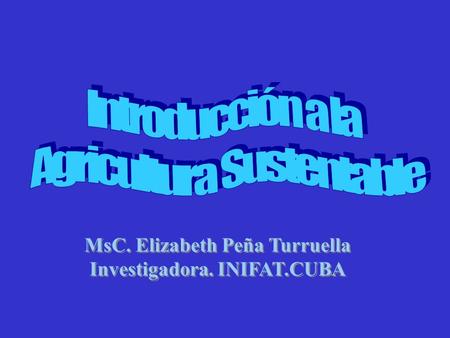 MsC. Elizabeth Peña Turruella Investigadora. INIFAT.CUBA
