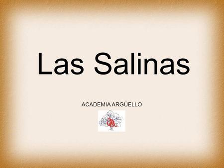Las Salinas ACADEMIA ARGÜELLO.