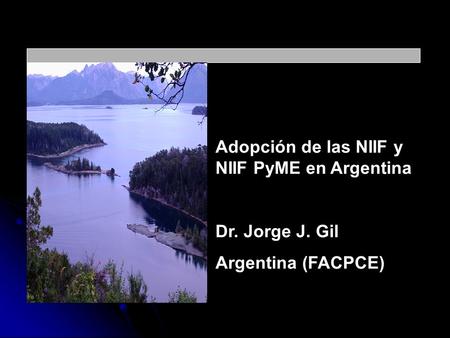 Adopción de las NIIF y NIIF PyME en Argentina