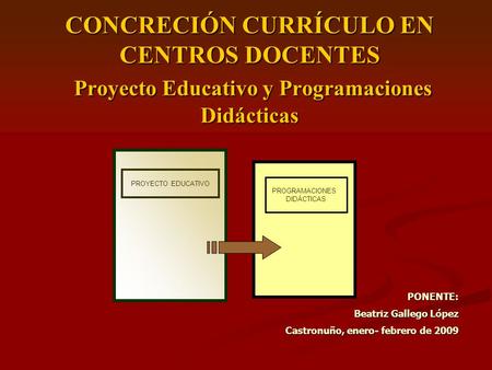 CONCRECIÓN CURRÍCULO EN CENTROS DOCENTES Proyecto Educativo y Programaciones Didácticas PONENTE: Beatriz Gallego López Castronuño, enero- febrero de 2009.