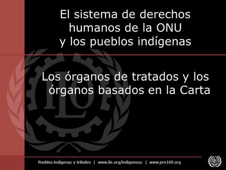 El sistema de derechos humanos de la ONU y los pueblos indígenas