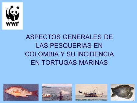 ASPECTOS GENERALES DE LAS PESQUERIAS EN COLOMBIA Y SU INCIDENCIA EN TORTUGAS MARINAS.