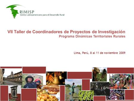 VII Taller de Coordinadores de Proyectos de Investigación Programa Dinámicas Territoriales Rurales Lima, Perú, 8 al 11 de noviembre 2009.