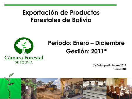 Exportación de Productos Forestales de Bolivia