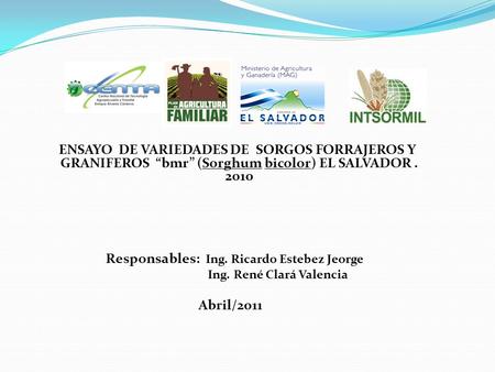 Responsables: Ing. Ricardo Estebez Jeorge