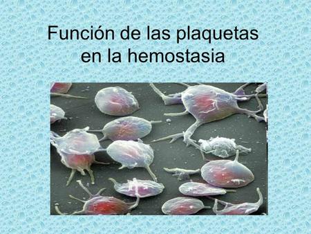 Función de las plaquetas en la hemostasia