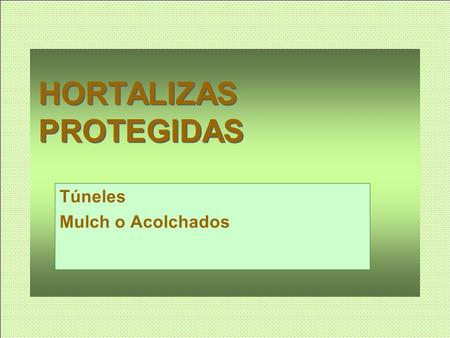 HORTALIZAS PROTEGIDAS