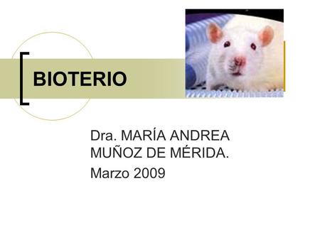 Dra. MARÍA ANDREA MUÑOZ DE MÉRIDA. Marzo 2009