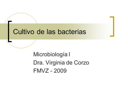 Cultivo de las bacterias