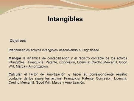 Intangibles Objetivos: