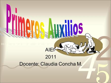 AIEP 2011 Docente: Claudia Concha M.