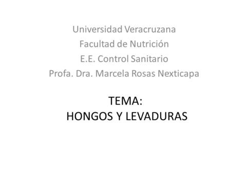 TEMA: HONGOS Y LEVADURAS