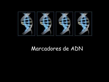 Marcadores de ADN.