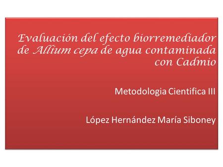 Evaluación del efecto biorremediador de Allium cepa de agua contaminada con Cadmio Metodologia Cientifica III López Hernández María Siboney.