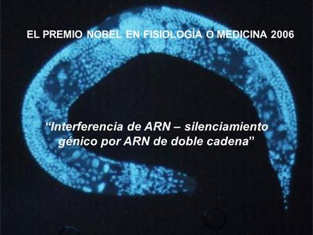 “Interferencia de ARN – silenciamiento génico por ARN de doble cadena”