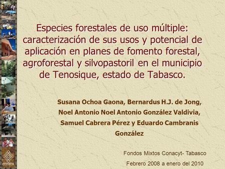 Fondos Mixtos Conacyt- Tabasco