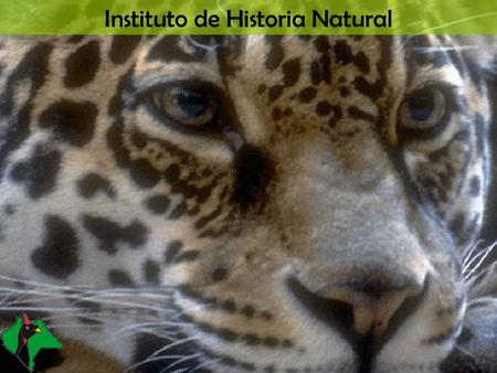 Instituto de Historia Natural. Organismo Público Descentralizado de Gobierno del Estado de Chiapas Administración de Proyectos: Gasto Corriente Inversión.