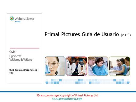 Ovid Training Department 2011 Primal Pictures Guia de Usuario (v.1.3) 3D anatomy images copyright of Primal Pictures Ltd www.primalpictures.com.