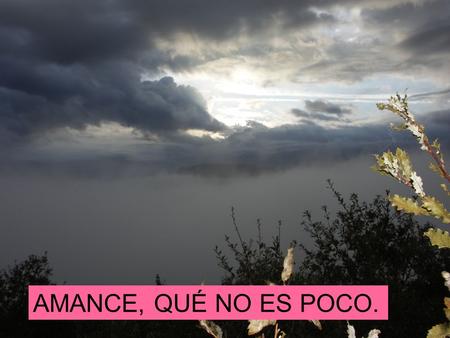 AMANCE, QUÉ NO ES POCO.. QUÉ ALTAS PASAN LAS TORCACES. Y CADA AÑO MÁS.