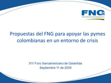 Propuestas del FNG para apoyar las pymes colombianas en un entorno de crisis XIV Foro Iberoamericano de Garantías Septiembre 11 de 2009.