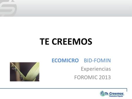 ECOMICRO BID-FOMIN Experiencias FOROMIC 2013