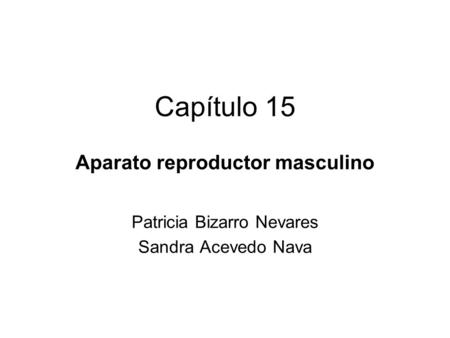 Aparato reproductor masculino