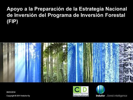 Apoyo a la Preparación de la Estrategia Nacional de Inversión del Programa de Inversión Forestal (FIP) Copyright © 2011 Indufor Oy 08/01/2014.