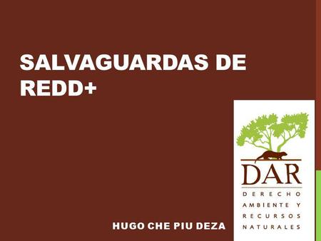 SALVAGUARDAS DE REDD+ Hugo Che Piu Deza.
