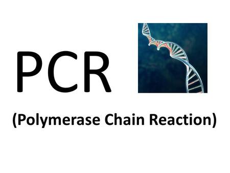 PCR (Polymerase Chain Reaction).