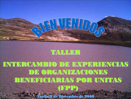 BIEN VENIDOS TALLER INTERCAMBIO DE EXPERIENCIAS DE ORGANIZACIONES BENEFICIARIAS POR UNITAS (FPP) Tarija 9 de Diciembre de 2008.