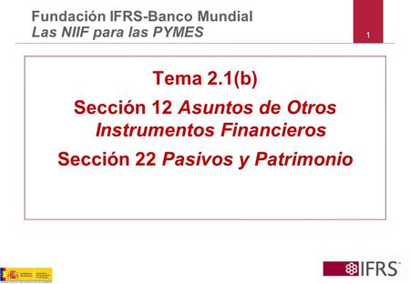 Sección 12 Asuntos de Otros Instrumentos Financieros