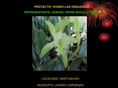 PROYECTO: VIVERO LAS ORQUIDEAS