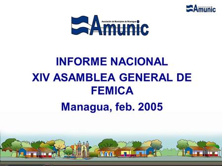 INFORME NACIONAL XIV ASAMBLEA GENERAL DE FEMICA Managua, feb. 2005.