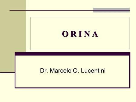 O R I N A Dr. Marcelo O. Lucentini.