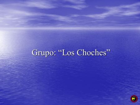 Grupo: “Los Choches”.
